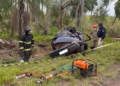 Condutor sai da pista com Palio, bate em coqueiro e morre na BR-267