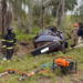 Condutor sai da pista com Palio, bate em coqueiro e morre na BR-267
