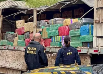 Motorista busca 7 toneladas de maconha em MS e é interceptado pela PF e PRF em SC