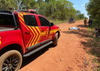 Motociclista morre ao atropelar anta com passageiro na garupa, em Aquidauana