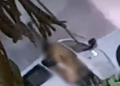 Casal é flagrado por moradores do Imá fazendo sexo dentro do carro