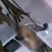 Casal é flagrado por moradores do Imá fazendo sexo dentro do carro