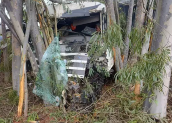 Condutor de carreta fica ferido ao sair da pista e colidir em eucaliptos na BR-376
