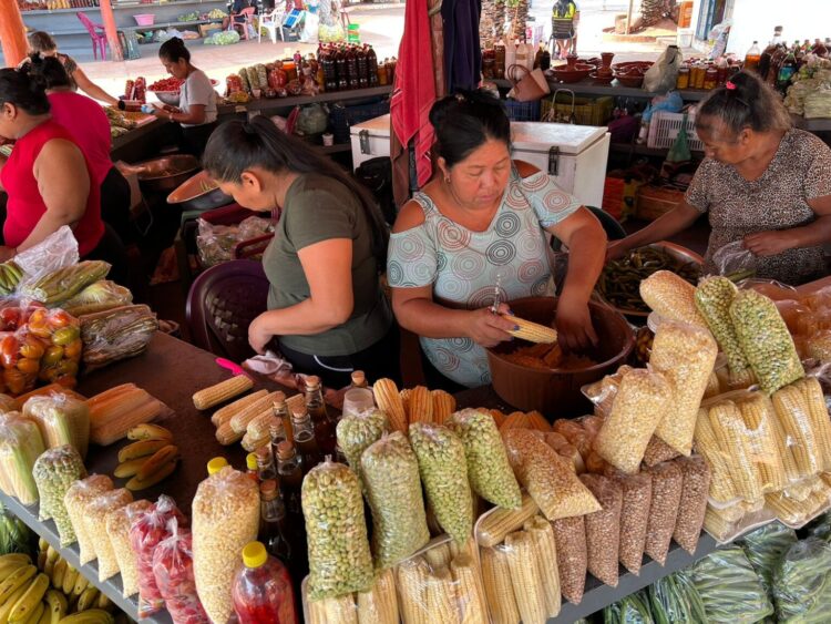Prefeitura inaugura Wi-Fi com acesso gratuito da população na Feira Indígena do Mercadão