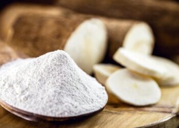 Mato Grosso do Sul aumenta as exportações de produtos da agroindústria