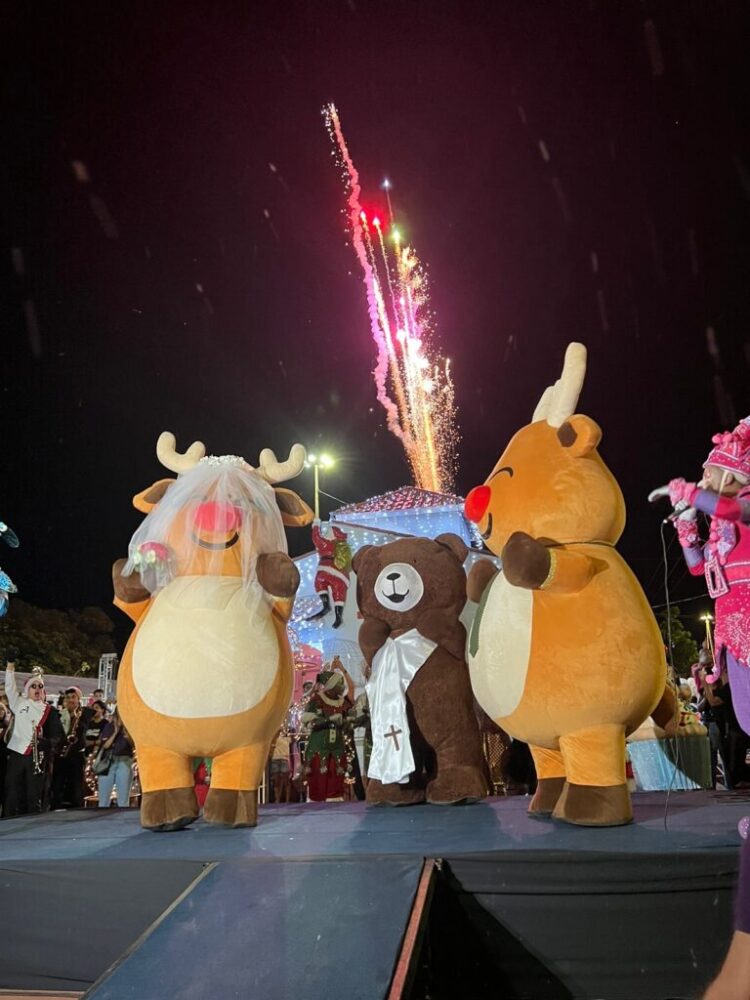 Após maior casamento da história, família rena retorna à Capital para chá revelação, no sábado