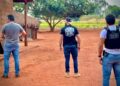 Polícia prende estuprador de 23 anos que cometeu ato durante dois dias com vítima