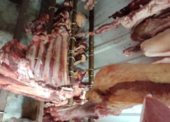 Três são presos por vender mais de 3,4 kg de carne imprópria pra consumo e trazer ovos ilegais da Bolívia