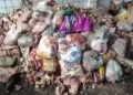 Junto com o IAGRO, polícia apreende carne imprópria pra consumo em mercado de Miranda