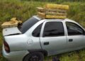 Polícia prende traficante com 481 kg de maconha, após causar acidente na BR-376
