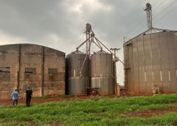 Jovem é preso em envolvimento em “Caso Fazenda Martinez”, onde idosos foram mortos