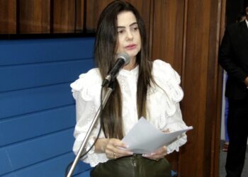 Deputada busca melhora do serviço de energia elétrica para o interior de MS