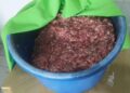 Homem é preso produzindo linguiça sem licença sanitária, em Bonito