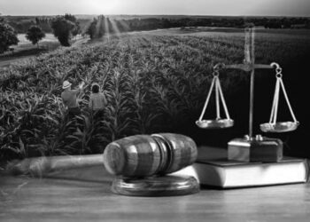 Marcelo Bertoni e Jaime Verruck participam de aula magna do LLM em Direito do Agronegócio