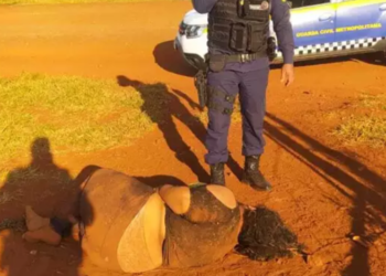 Mulher é encontrada com pés e mãos amarrados e diz que é por causa do PCC, na Capital