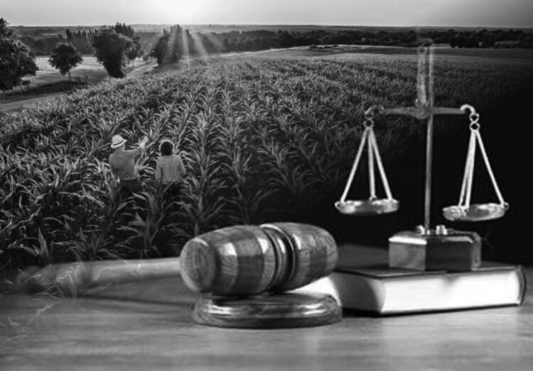 Marcelo Bertoni e Jaime Verruck participam de aula magna do LLM em Direito do Agronegócio