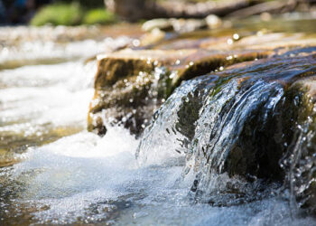 Mulher de 30 anos é encontrada morta dentro de riacho no interior