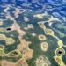 Um chamado urgente para a proteção do bioma Pantanal e os efeitos da crise climática no Brasil