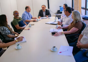 TCE-MS e Sefaz discutem a participação da primeira infância no Plano Plurianual de MS