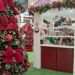 Pesquisas apontam que Natal 2023 pode ser o melhor dos últimos 10 anos para o comércio