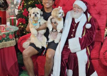 Cachorros roubam a cena em lugar especial preparado para eles no Espaço do Papai Noel
