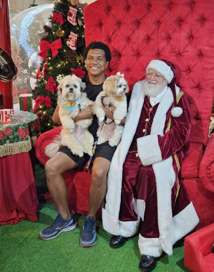 Cachorros roubam a cena em lugar especial preparado para eles no Espaço do Papai Noel