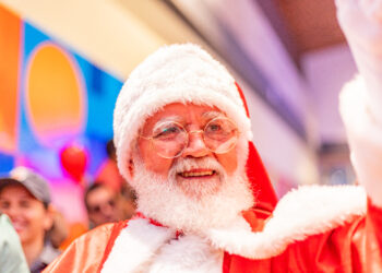 Em shopping da Capital, até os animais vão entrar no clima de Natal