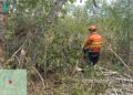 Com atuação permanente, Bombeiros de MS fazem força-tarefa para controlar incêndios no Pantanal
