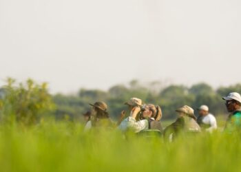 Turismo a partir da observação de aves é discutido no Pantanal de MS em evento histórico