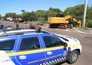 Mutirão de limpeza da Avenida Ernesto Geisel recolhe 300 toneladas de lixo e podas de árvores na primeira semana
