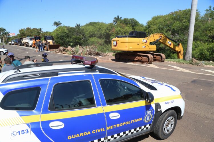 Mutirão de limpeza da Avenida Ernesto Geisel recolhe 300 toneladas de lixo e podas de árvores na primeira semana