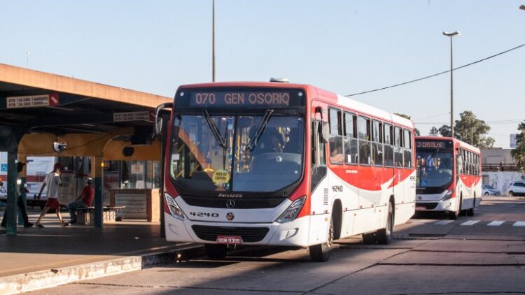 Transporte coletivo vai operar em plano especial neste feriado da Proclamação