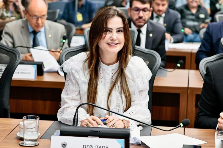 Deputada pede dispensa de exigência em edital da Lei Aldir Blanc