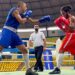 Noite das Estrelas destaca o melhor do boxe de MS e recebe lutadores da Bolívia e Paraguai