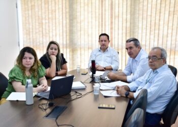 Conselho aprova R$ 235 milhões do FCO com destaque para suinocultura, avicultura e irrigação em MS