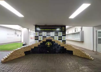 Traficante foge e abandona Hilux roubada em MG com R$ 2 milhões em maconha