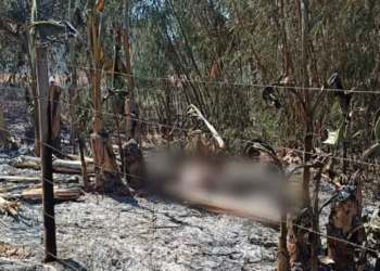 Corpo queimado é encontrado por bombeiros que apagavam fogo em terreno do São Conrado