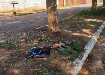 Grave acidente entre carros mata um jovem de 22 anos em Bela Vista