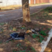 Grave acidente entre carros mata um jovem de 22 anos em Bela Vista