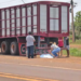 Idoso morre atropelado por caminhão boiadeiro na BR-060, na Capital