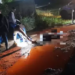 Corpo esquartejado é encontrado e partes dentro de sacos plásticos na linha internacional
