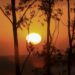 Altas temperaturas e baixa umidade do ar em MS são previstas para esta sexta-feira