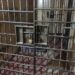 Acusado de ter matado a esposa a golpes de faca em 2015 é preso, em Rio Negro
