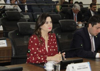 Para evitar acidentes, deputada solicita telas de proteção em trecho da BR-262