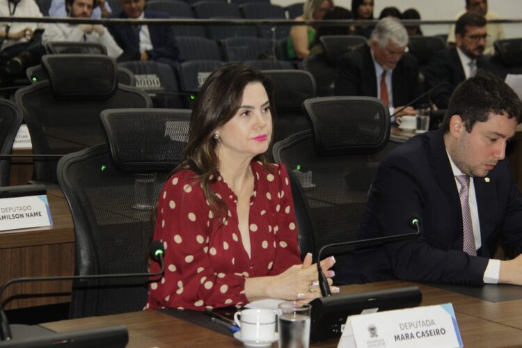 Para evitar acidentes, deputada solicita telas de proteção em trecho da BR-262