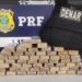 Três “mateiros” que traziam droga de Corumbá para a Capital são presos pela Denar e PRF