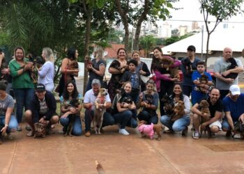 Shopping recebe encontro de cachorros salsicha e tutores no próximo domingo