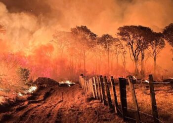 ARTIGO: O fogo destrói o Pantanal e queima a verdade