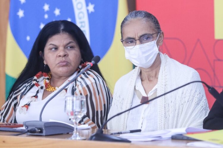 Desmatamento na Amazônia cai 22,3% entre agosto de 2022 e julho de 2023