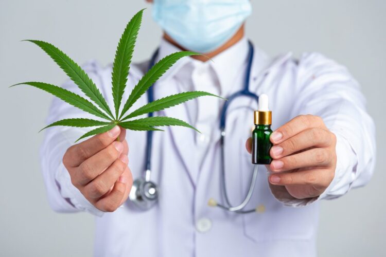 Epilepsia: Entenda como a cannabis medicinal pode auxiliar no tratamento